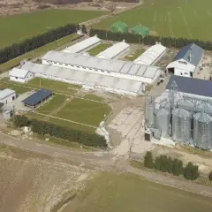 Jakie są przepisy dotyczące odległości chlewni od budynku mieszkalnego?