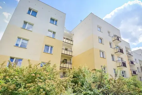 Kto nie może być członkiem rady nadzorczej spółdzielni mieszkaniowej? Sprawdź ograniczenia.