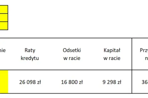 Kredyt czy wynajem: Co wybrać, aby uniknąć finansowych strat?
