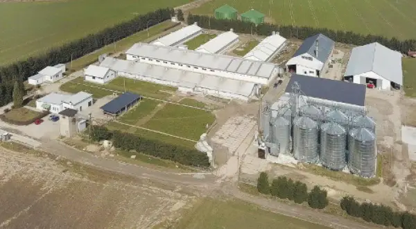 Jakie są przepisy dotyczące odległości chlewni od budynku mieszkalnego?