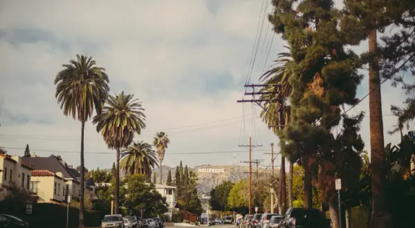 Ile kosztuje wynajem mieszkania w Los Angeles? Ceny, które zaskakują
