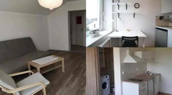 Ile kosztuje wynajem kawalerki w Poznaniu? Ceny, które zaskakują
