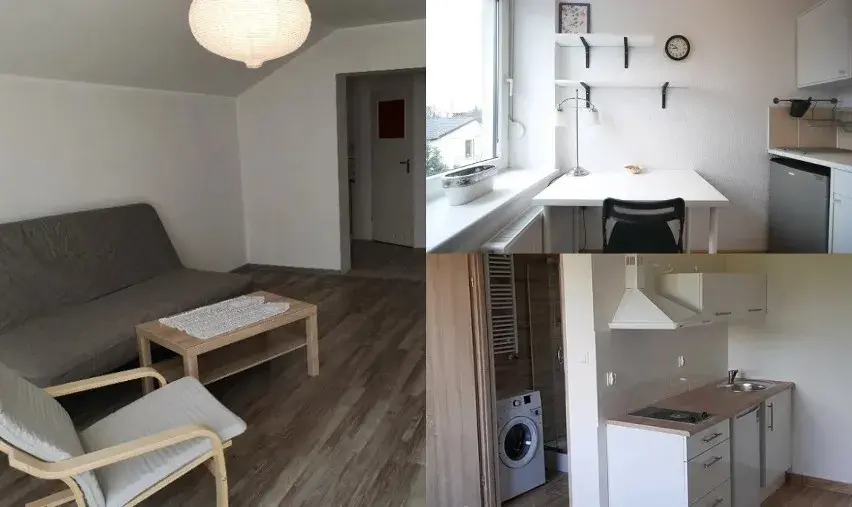 Ile kosztuje wynajem kawalerki w Poznaniu? Ceny, które zaskakują