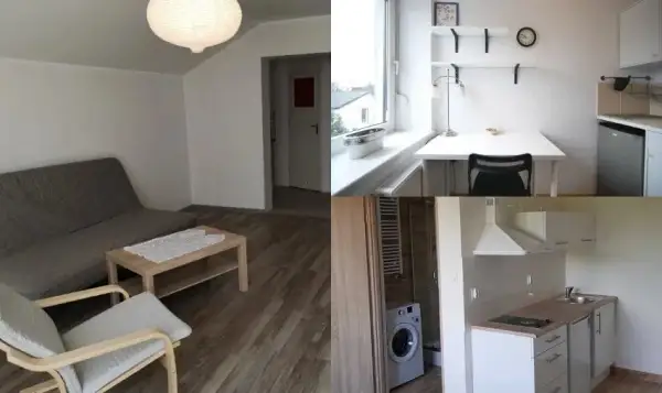 Ile kosztuje wynajem kawalerki w Poznaniu? Ceny, które zaskakują